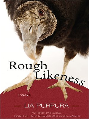 cover image of Rough Likeness
